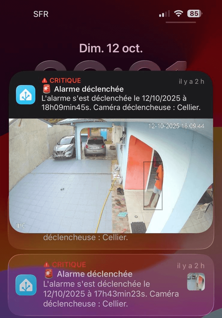 Visualisation de la détection intelligente par caméra